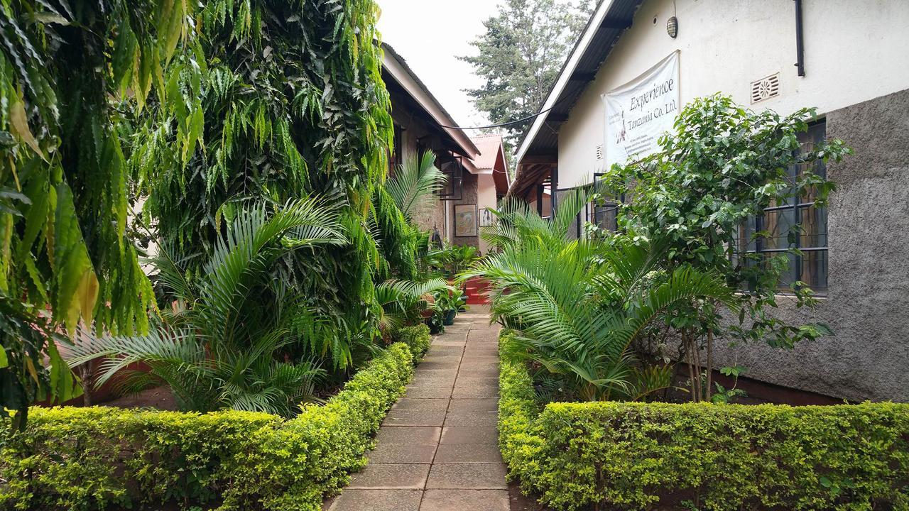 Mama Simba Bed And Breakfast Moshi Exteriér fotografie