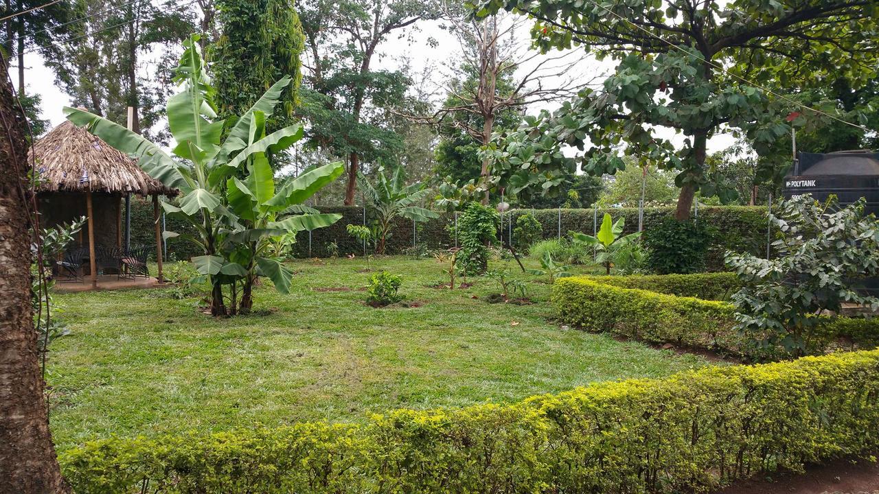 Mama Simba Bed And Breakfast Moshi Exteriér fotografie